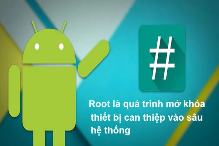 Root là gì?