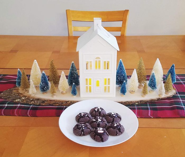 A reviewer’s table display featuring the bottle brush trees beside a decorative house