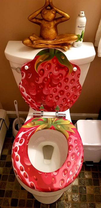 a reviewer’s strawberry toilet seat in the open position