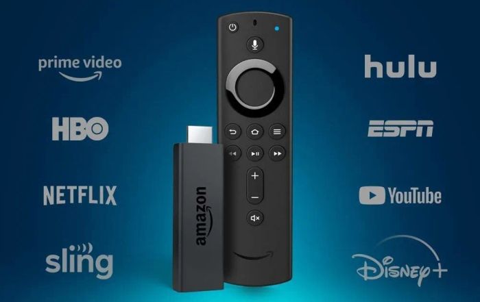 The Amazon Fire TV Stick