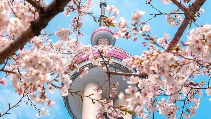 Travel Tips for Visiting China in Spring