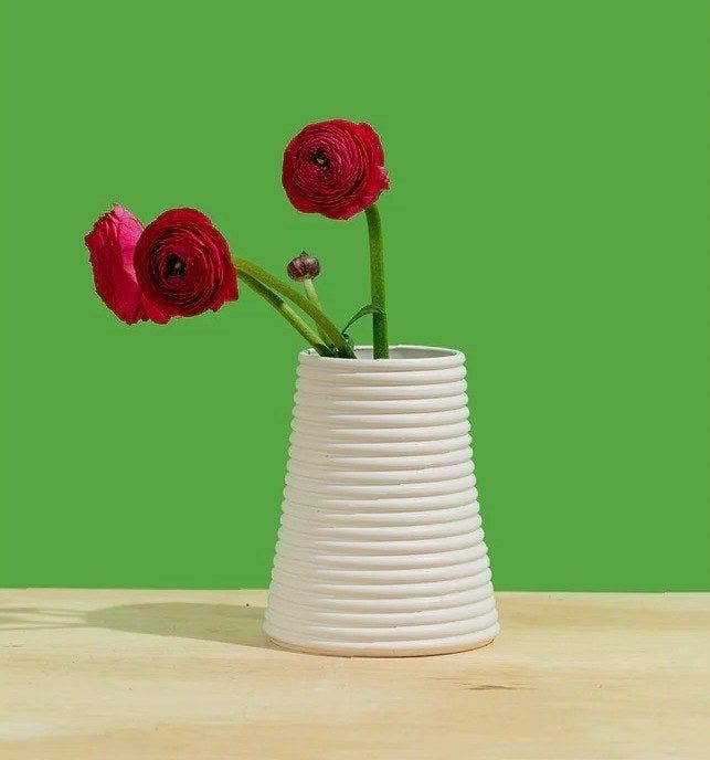 A white vase filled with red flowers