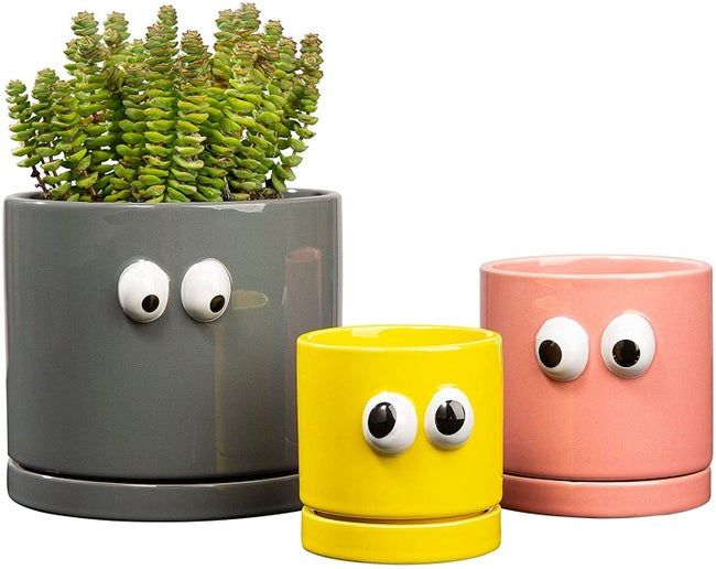 three plant pots of varying sizes, each adorned with googly eyes