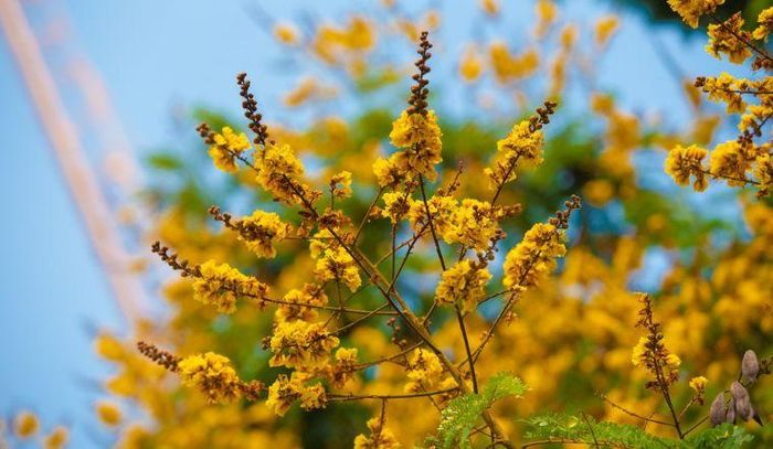 A glowing sloth nightlight surrounded by potted plants, with the text: