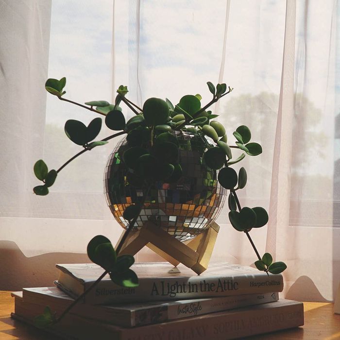 The planter placed on a wooden display surface.