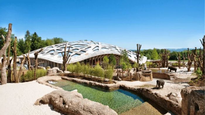 Zürich Zoo – A Fascinating Tourist Attraction in Switzerland