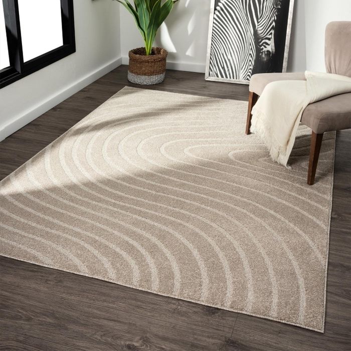A modern geometric rug displayed in a living room, complemented by a plant and a framed zebra print on the wall.