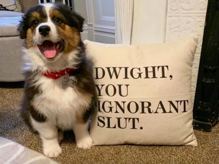 A customer review photo featuring their dog beside the linen pillow cover with the text,