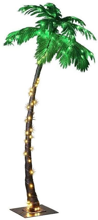 the palm tree illuminated with lights