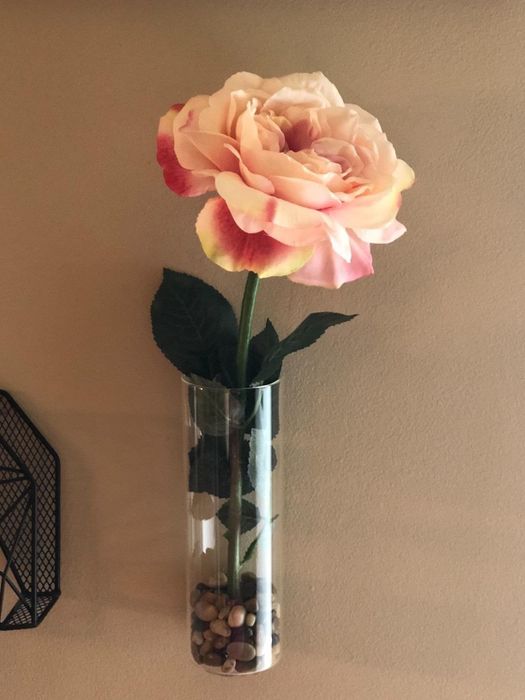 A photo showcasing a pink flower arranged in a cylindrical vase.