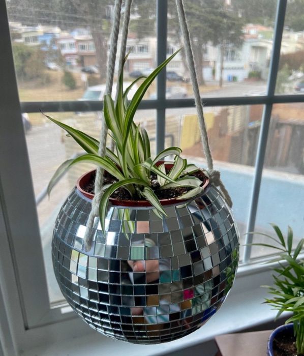 A reviewer's photo of the disco ball planter, now housing a plant inside.
