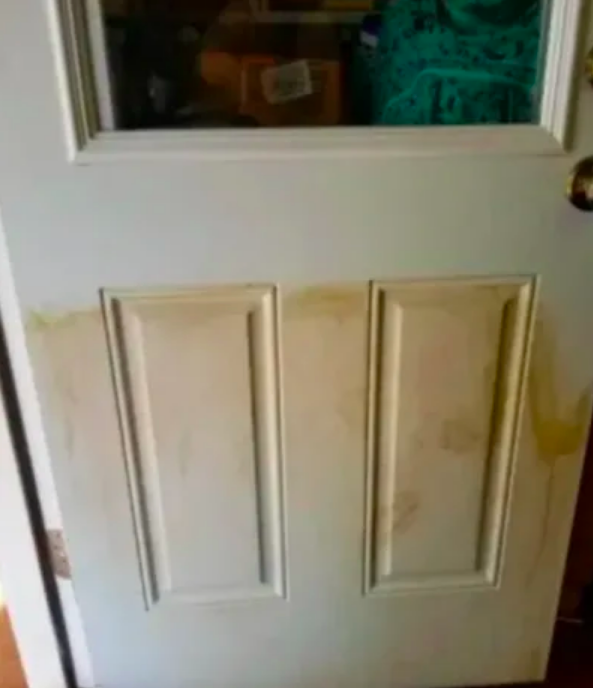 A customer review photo showing their door before using the cleaning pads.
