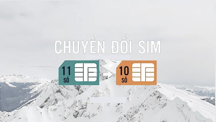Đầu số 0124 đổi thành SIM số nào? Những điều cần lưu ý khi chuyển đổi đầu số SIM là gì?