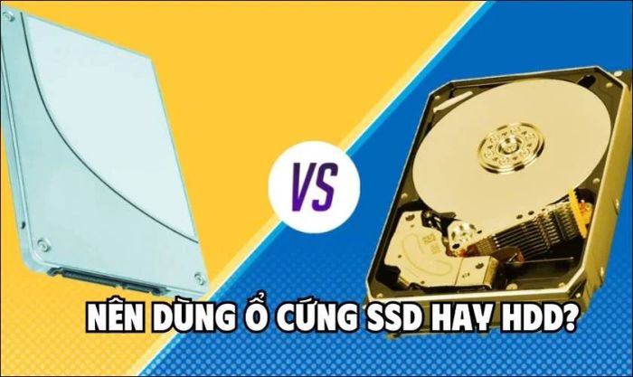 Nên dùng SSD hay HDD?