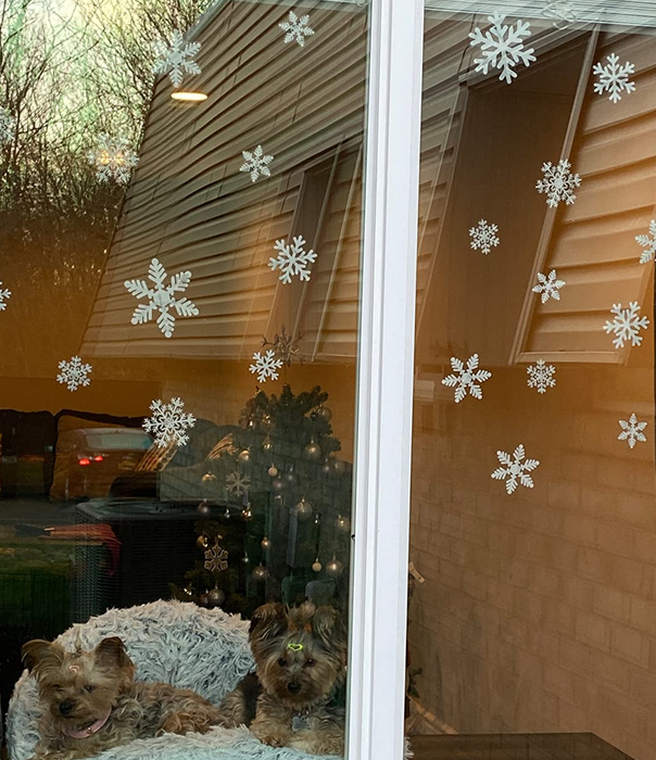 reviewer photo of snowflake decals on a pair of windows with two dogs peering out from them