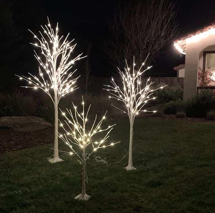 A photo from a reviewer showing three brightly lit trees outside during the night