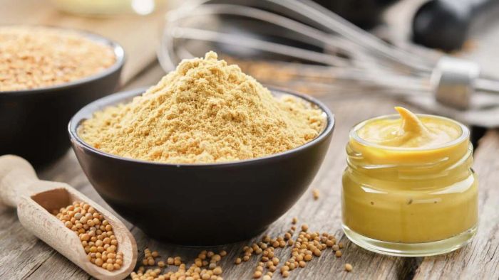 Zesty cranberry mustard