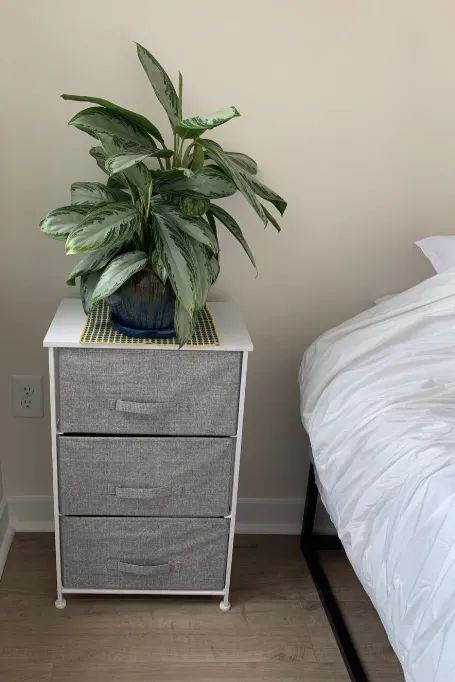 a reviewer’s fabric shelf next to the bed, topped with a plant