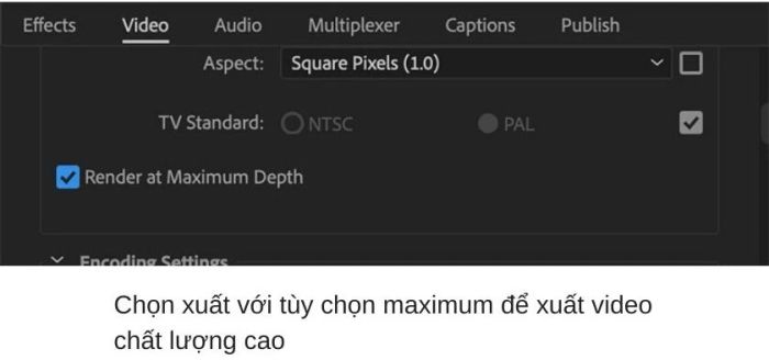 Các thuộc tính trong Adobe Premiere