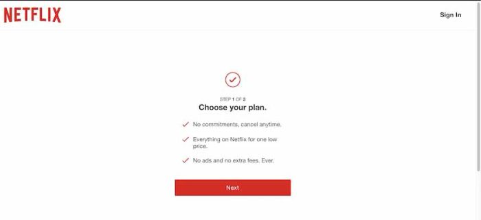 Hướng dẫn đăng ký Netflix bằng thẻ Visa