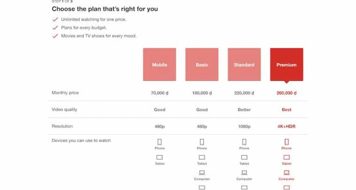 Cách tạo tài khoản Netflix bằng thẻ Visa
