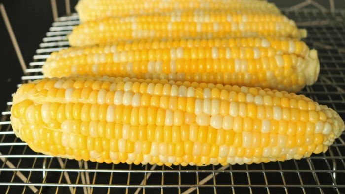 Four ears of corn placed neatly on a wire rack.