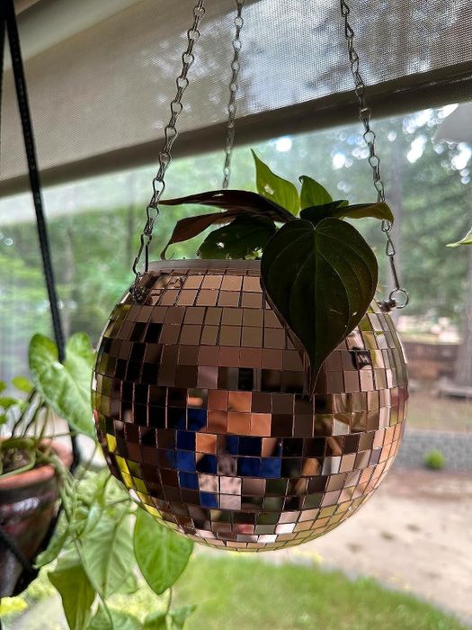 A rose gold disco ball planter with a plant hanging from the ceiling
