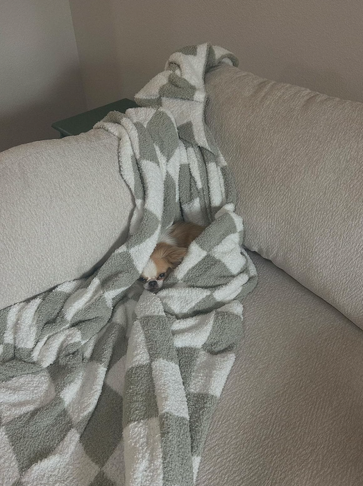 A small dog peeking out from beneath a cozy blanket on a sofa.