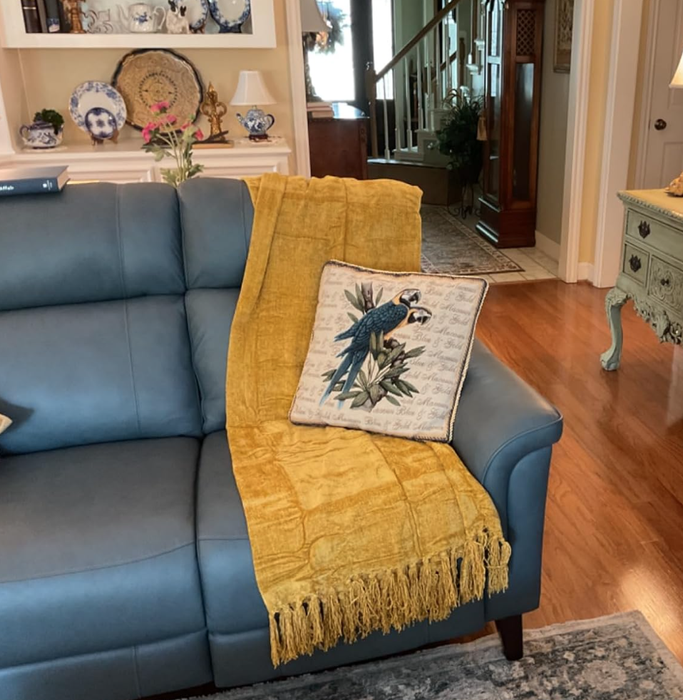 A blue couch adorned with a yellow throw and a decorative pillow featuring a vibrant parrot, all set in a cozy living room.