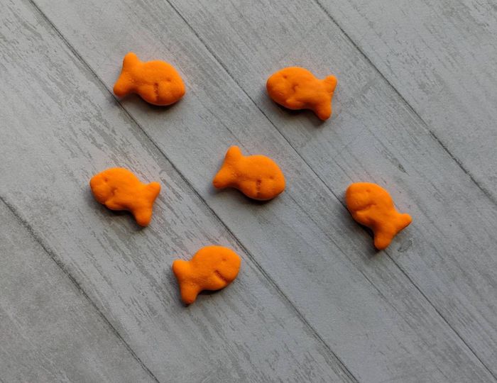 Six Goldfish-shaped magnets displayed on a table