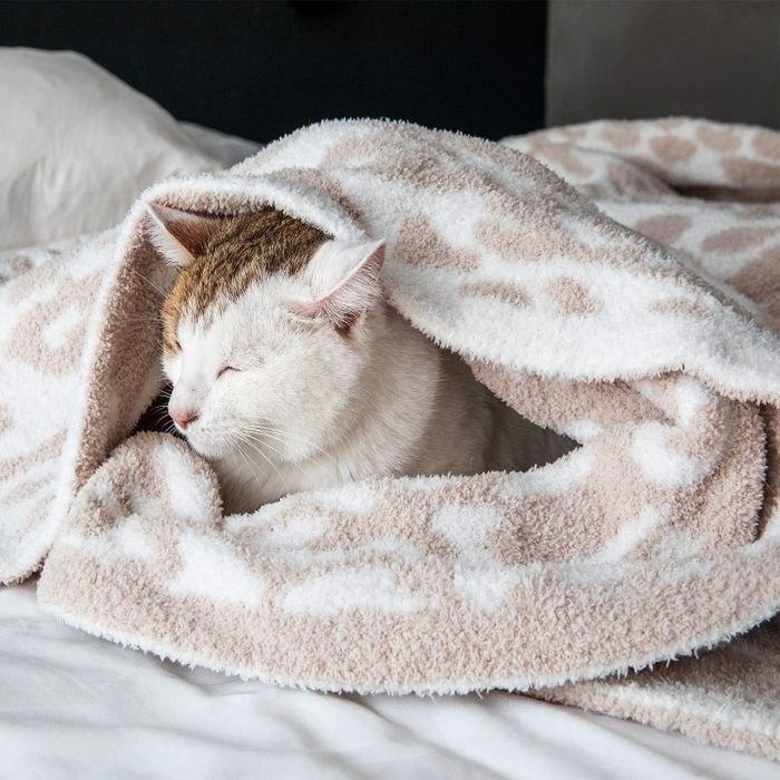 A cat peacefully sleeping under a patterned blanket on a bed, looking cozy and content.