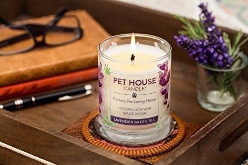 A candle lit in a cozy living room