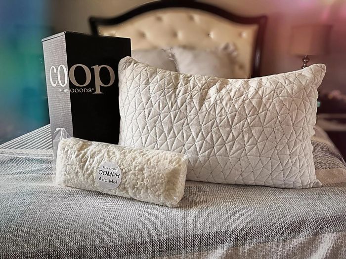 Coop Home Goods pillow along with an additional item