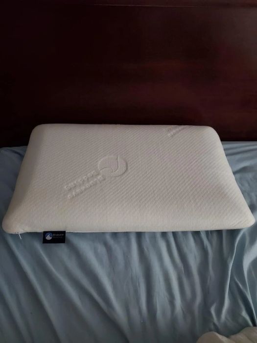 Image from a reviewer showcasing the pillow.