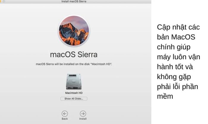 Cập nhật bản MacOS chính thức