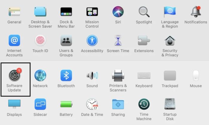 Hướng dẫn cách cập nhật phiên bản MacOS mới nhất cho Macbook