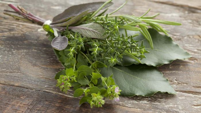 Bring a Bunch of Fresh Herbs to Thanksgiving Dinner