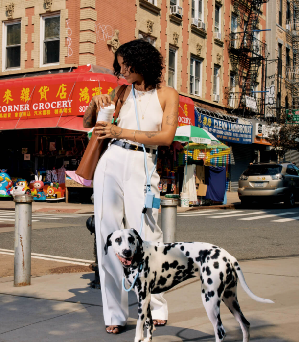 A model is walking a dog, wearing the leash across their shoulder like a crossbody bag.