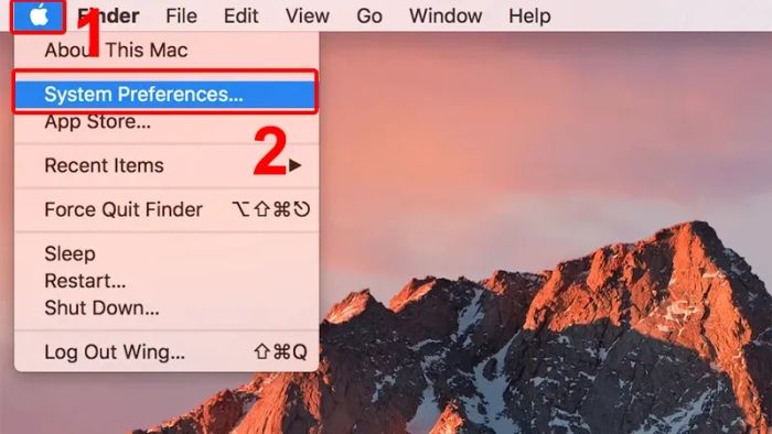 Chọn mục System Preferences.