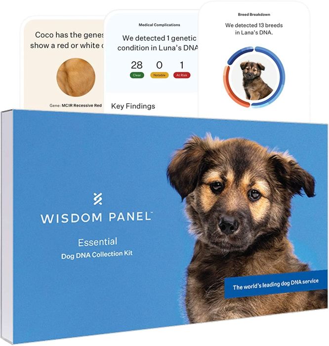 the Wisdom Panel kit box
