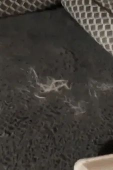 A GIF showing a reviewer using the ChomChom roller to remove pet fur from a couch
