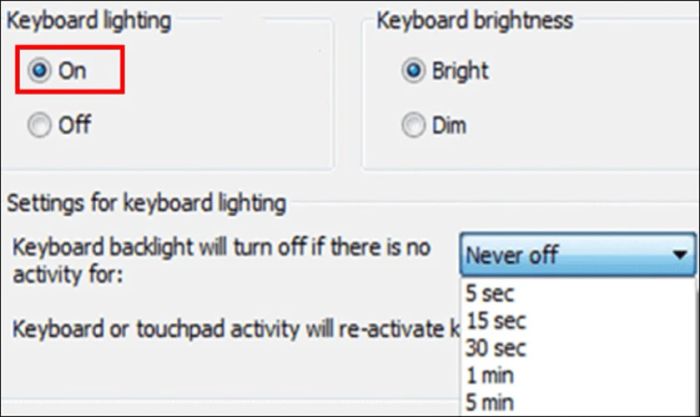 Ở mục Keyboard Lighting, chuyển chế độ sang ON là hoàn tất