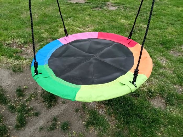 Round tree swing featuring multicolored edges, hanging in a grassy outdoor space, ideal for playful activities