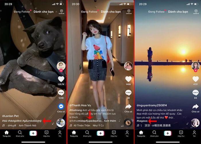 Sử dụng hashtag hiệu quả để tăng lượt follow trên TikTok