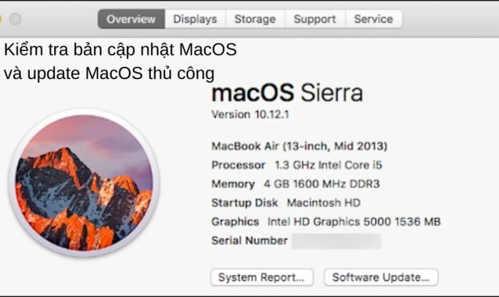 Cách kiểm tra và cập nhật Mac OS, phương pháp kiểm tra bản cập nhật trên máy Mac