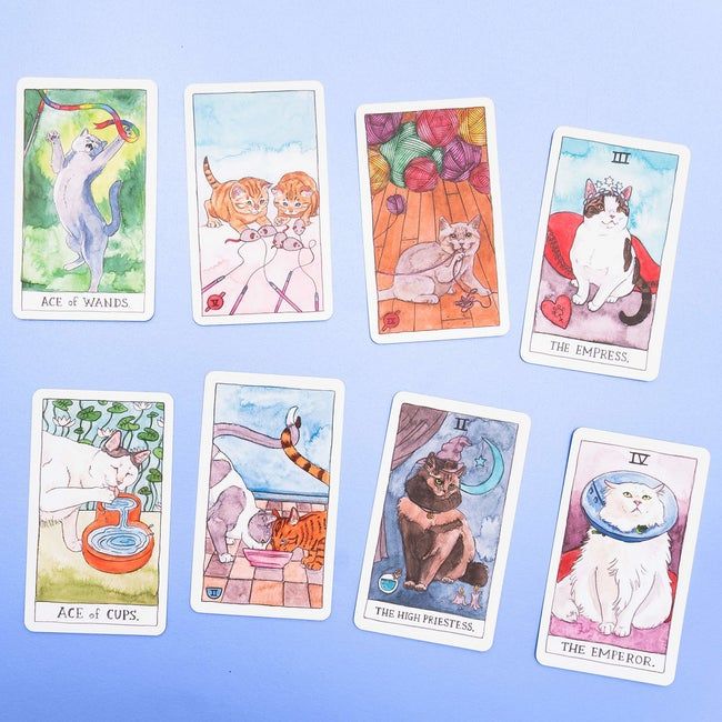 tarot cards with a cat theme