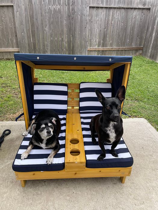 Two dogs lounging on the chaise