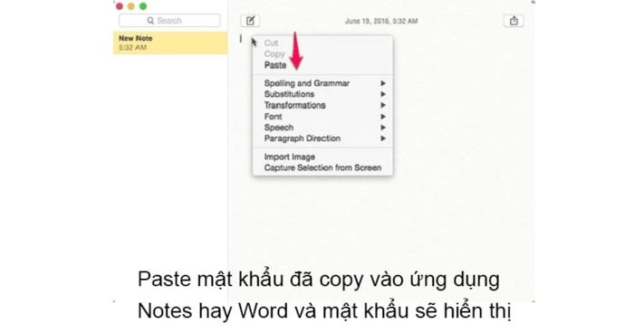nhấn Paste để mật khẩu hiện ra