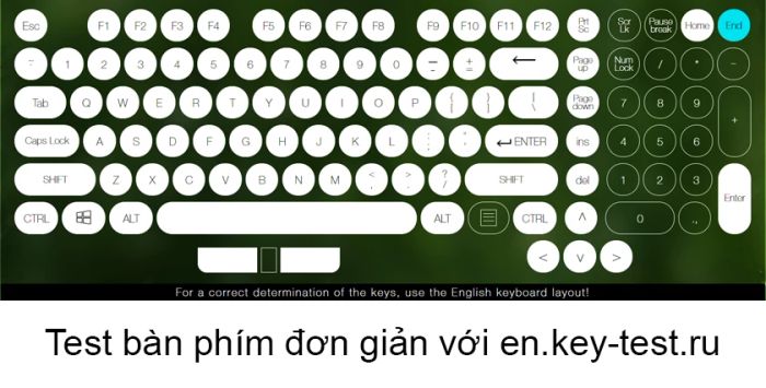 En.key-test.ru - kiểm tra bàn phím MacBook