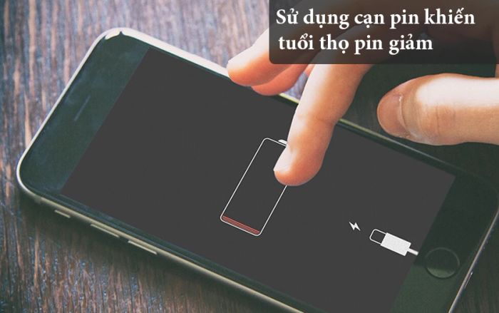 Các yếu tố quan trọng khi kiểm tra dung lượng và tình trạng pin iPhone 7, 7 Plus